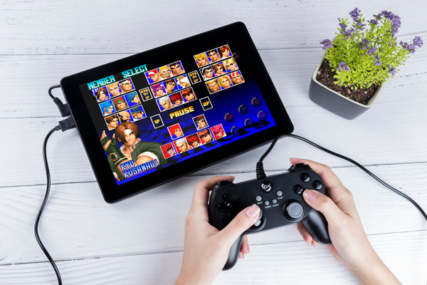 Use Your Raspberry Pi Display to Play Games